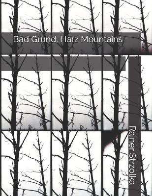 Book cover for Bad Grund, Harz Mountains