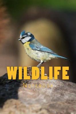 Book cover for Wildlife