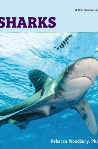 Cover of Sharks