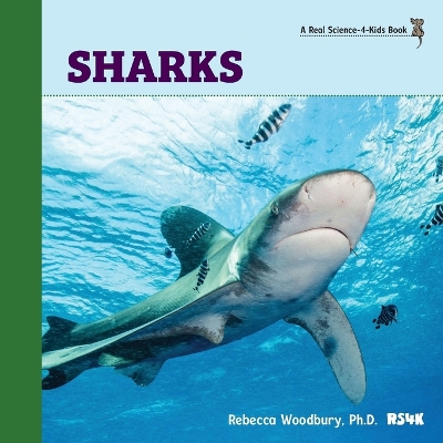 Book cover for Sharks