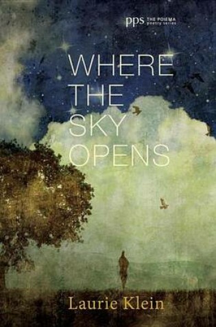 Cover of Where the Sky Opens