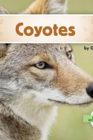 Cover of Coyotes