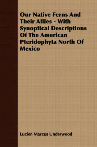 Cover of Our Native Ferns And Their Allies - With Synoptical Descriptions Of The American Pteridophyta North Of Mexico