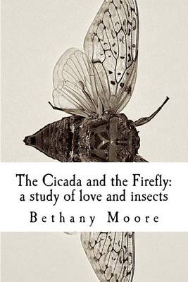 Book cover for The Cicada and the Firefly