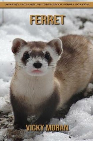 Cover of Ferret