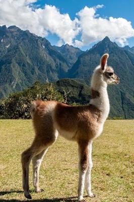 Book cover for Awesomely Cute Baby Llama in the Andes Journal