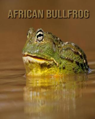 Book cover for African Bullfrog