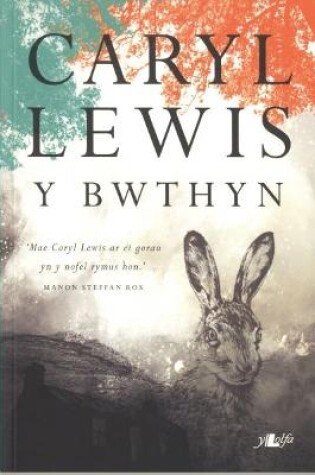 Cover of Bwthyn, Y