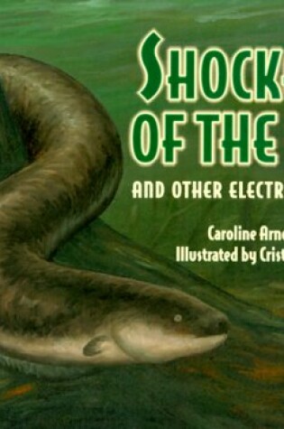 Cover of Shockers of the Sea