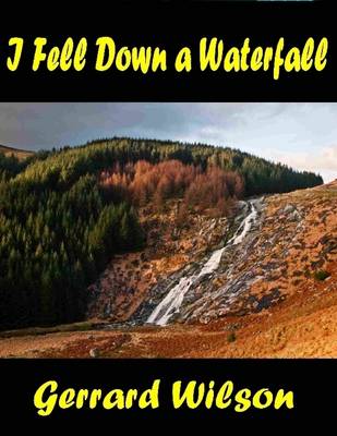 Book cover for I Fell Down a Waterfall