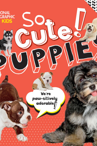 Cover of So Cute! Puppies
