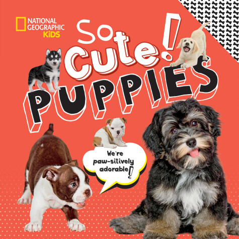 Book cover for So Cute! Puppies