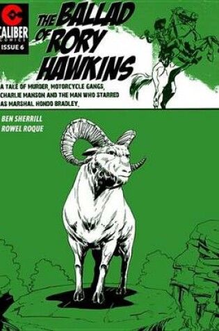 Cover of Ballad of Rory Hawkins #6