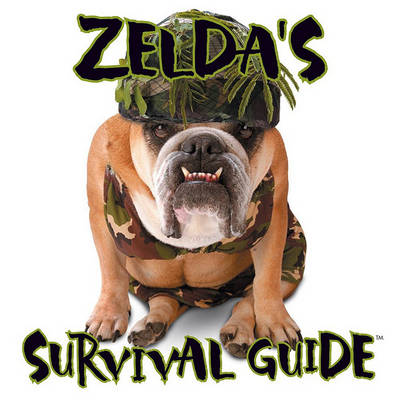 Book cover for Zelda's Survival Kit