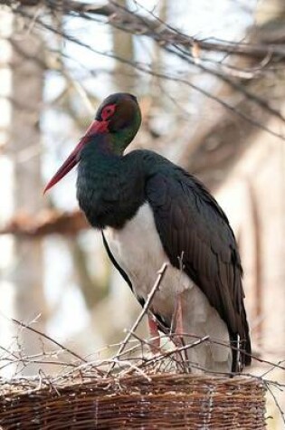 Cover of Black Stork in a Nest Bird Journal