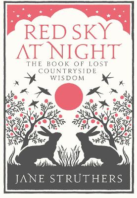 Book cover for Red Sky at Night