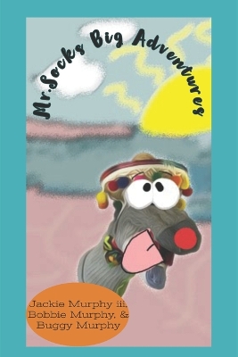 Book cover for Mr. Sock's Big Adventure