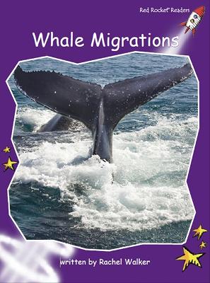 Cover of Whale Migrations