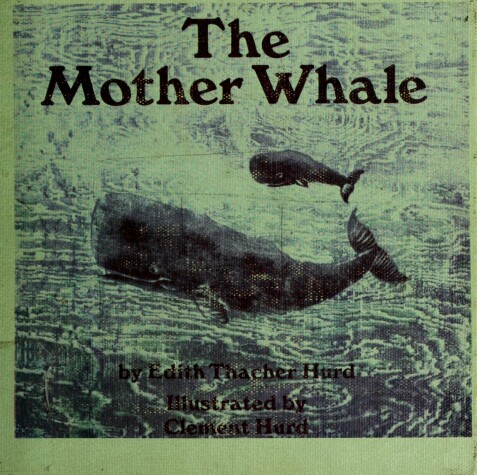 Book cover for The Mother Whale