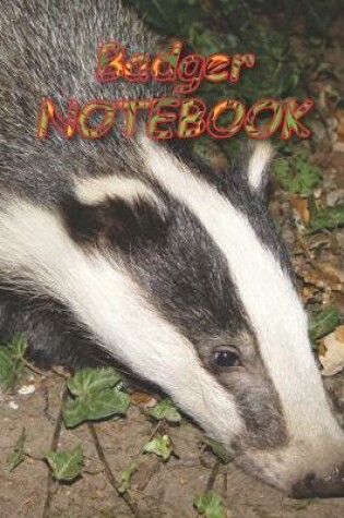 Cover of Badger NOTEBOOK