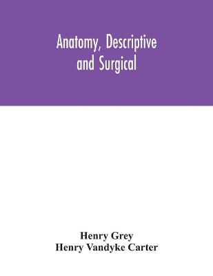 Book cover for Anatomy, Descriptive and Surgical