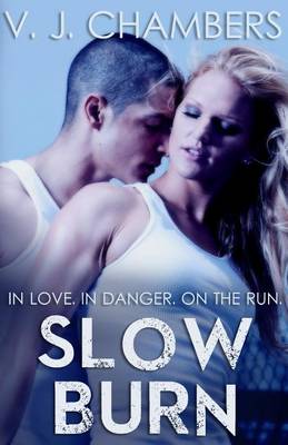 Book cover for Slow Burn