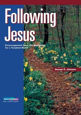 Book cover for Following Jesus: Intersections Small Group B/S