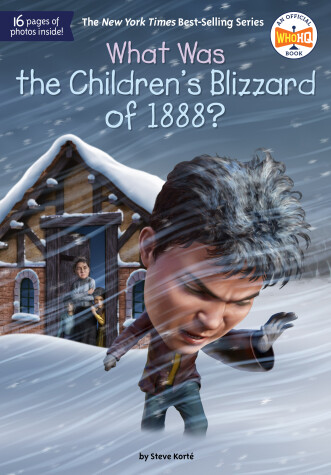 Cover of What Was the Children's Blizzard of 1888?