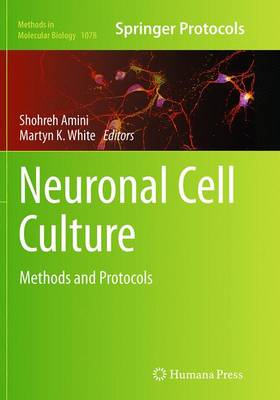 Cover of Neuronal Cell Culture