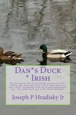 Book cover for Dan*s Duck * Irish