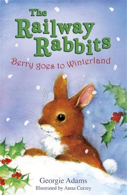 Book cover for Berry Goes to Winterland