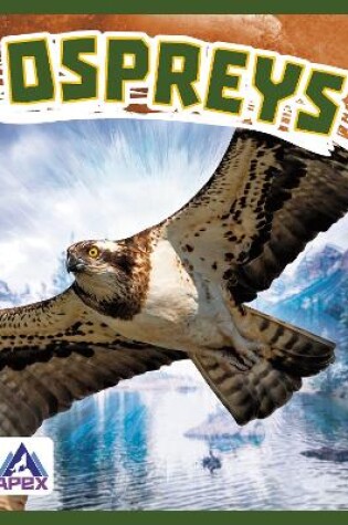 Cover of Birds of Prey: Ospreys