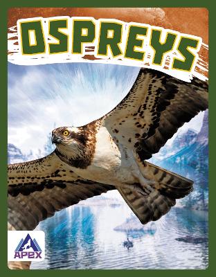 Book cover for Birds of Prey: Ospreys