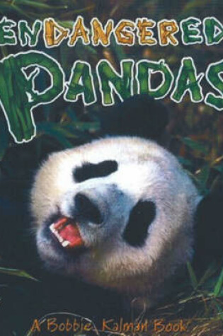 Cover of Endangered Pandas