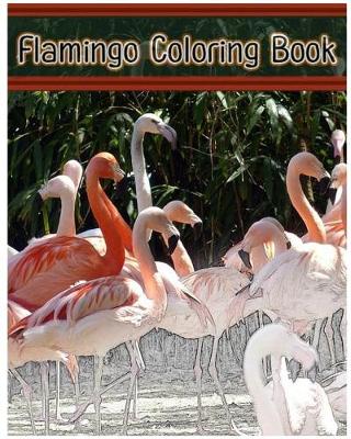 Book cover for Flamingo