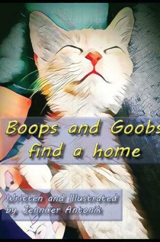 Cover of Boops and Goobs find a home