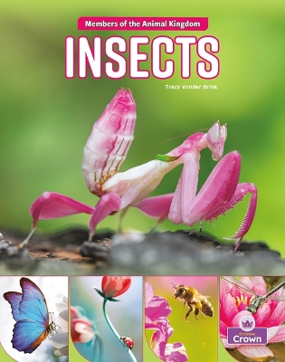 Book cover for Insects