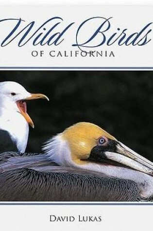 Cover of Wild Birds of California