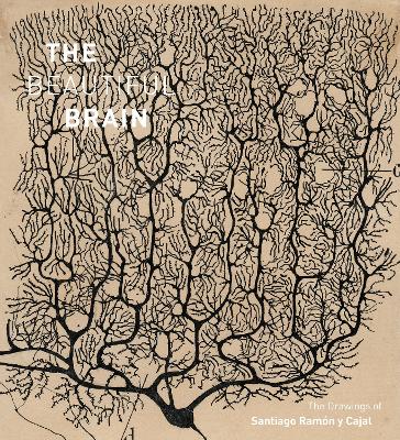 Book cover for The Beautiful Brain