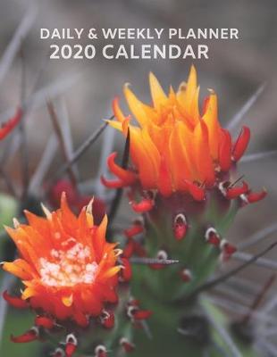 Book cover for 2020 Planner, Year Daily Weekly Calendar Planner with Cactus Flower