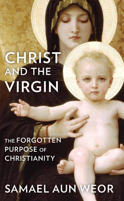 Book cover for Christ the Virgin