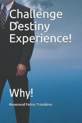 Cover of Challenge Destiny Experience!
