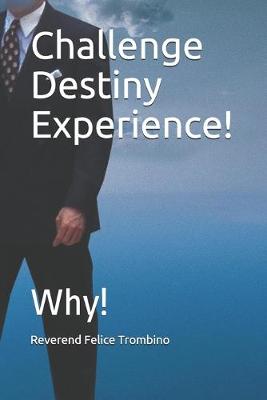 Book cover for Challenge Destiny Experience!