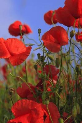 Book cover for Poppy Meadow