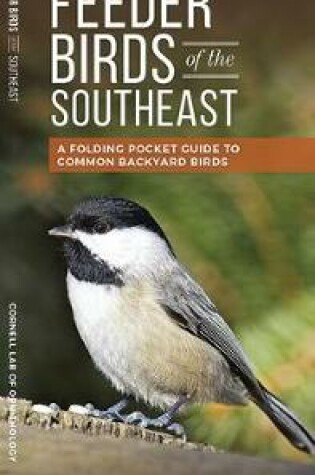 Cover of Feeder Birds of the Southeast