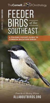Book cover for Feeder Birds of the Southeast