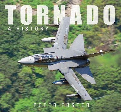 Book cover for Tornado