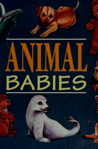 Cover of Animal Babies