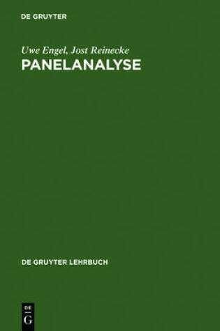 Cover of Panelanalyse