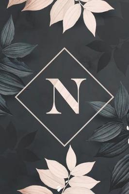 Book cover for N